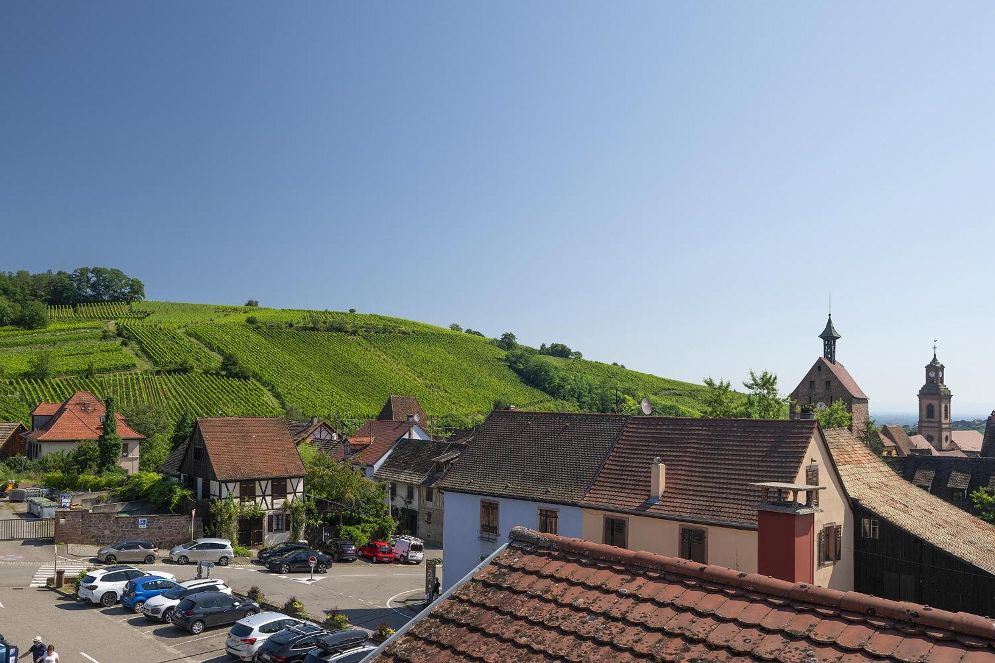 Riesling - Vue Imprenable Sur Le Vignoble - Renove Recemment - Parking Gratuit Appartement Riquewihr Buitenkant foto